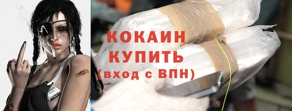 ПСИЛОЦИБИНОВЫЕ ГРИБЫ Абаза