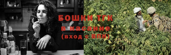 ПСИЛОЦИБИНОВЫЕ ГРИБЫ Абаза
