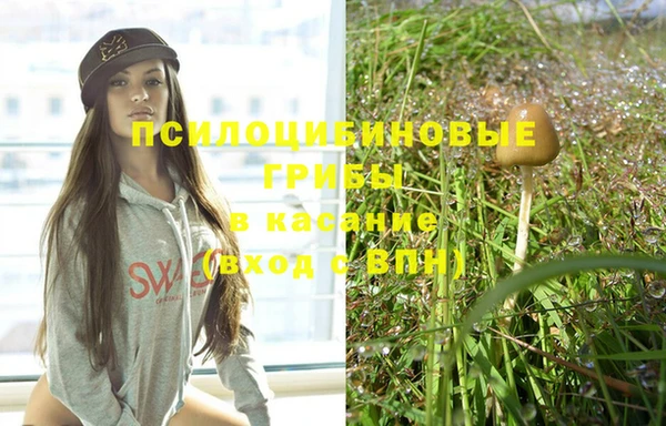 ПСИЛОЦИБИНОВЫЕ ГРИБЫ Абаза