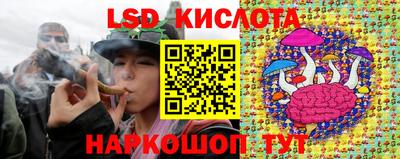 apvp Сланцы